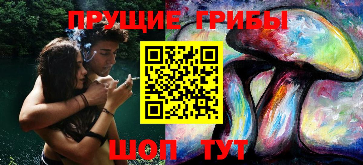 Псилоцибиновые грибы прущие грибы  Псилоцибиновые грибы прущие грибы  Вход с VPN  Калининград 